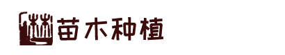 凯发国际天生赢家